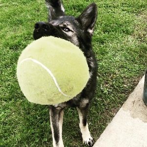 Meet your Posher, Marki